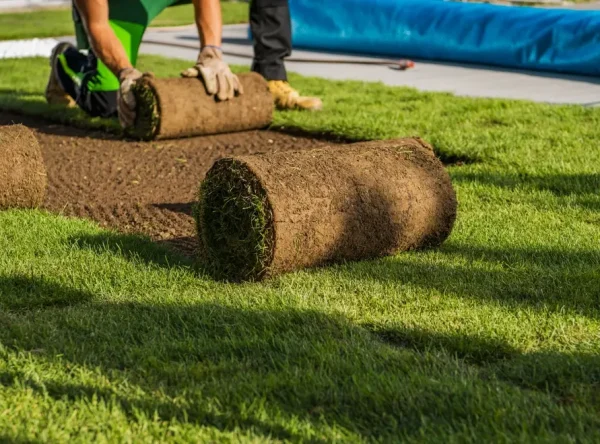 mulching-and-sod