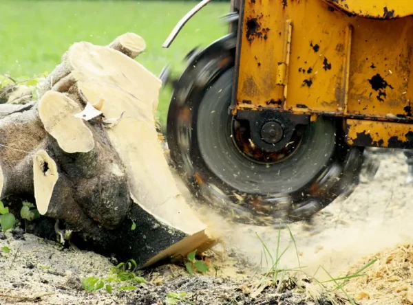 stump-removal